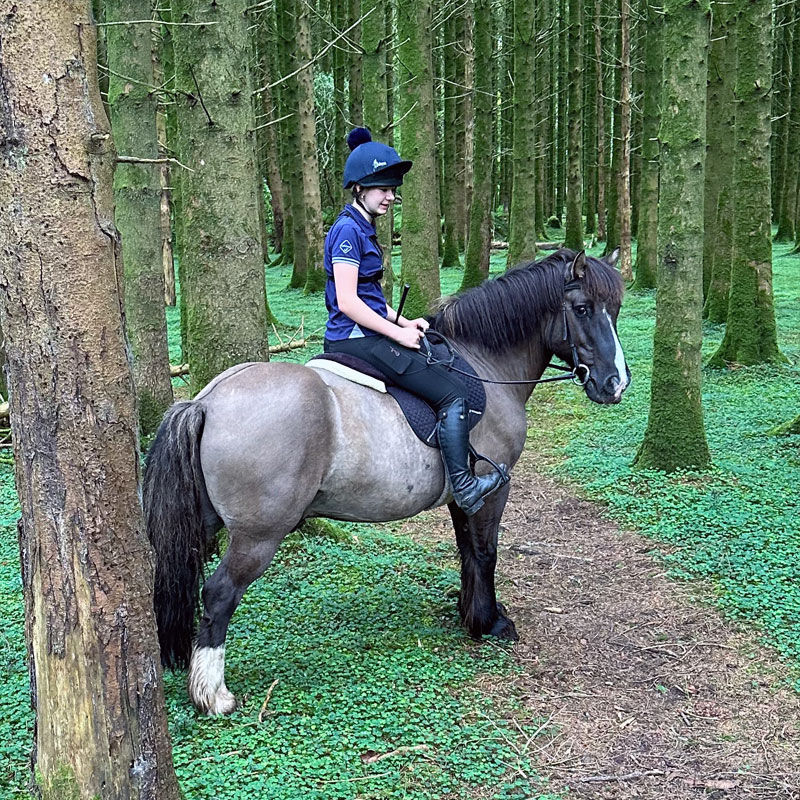Angus the Highland pony