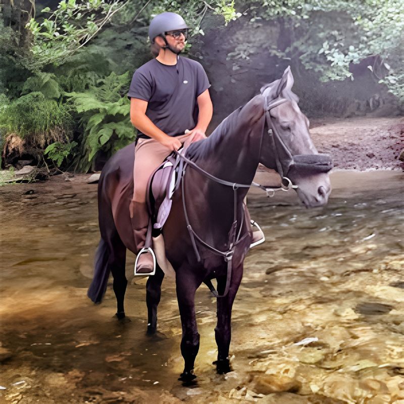Bracey the racehorse Bracey the racehorse
