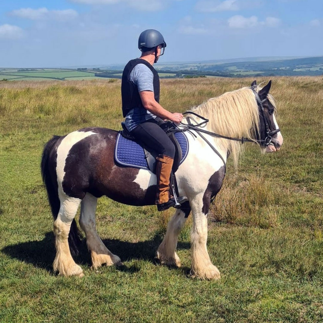 Theo, our lovely cob Theo, our lovely cob