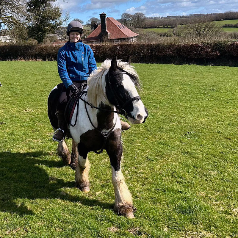 Theo the cob Theo the cob