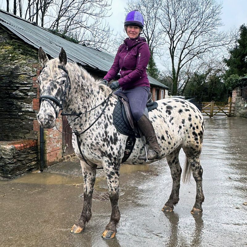 Willow the Appaloosa x Knabstrupper