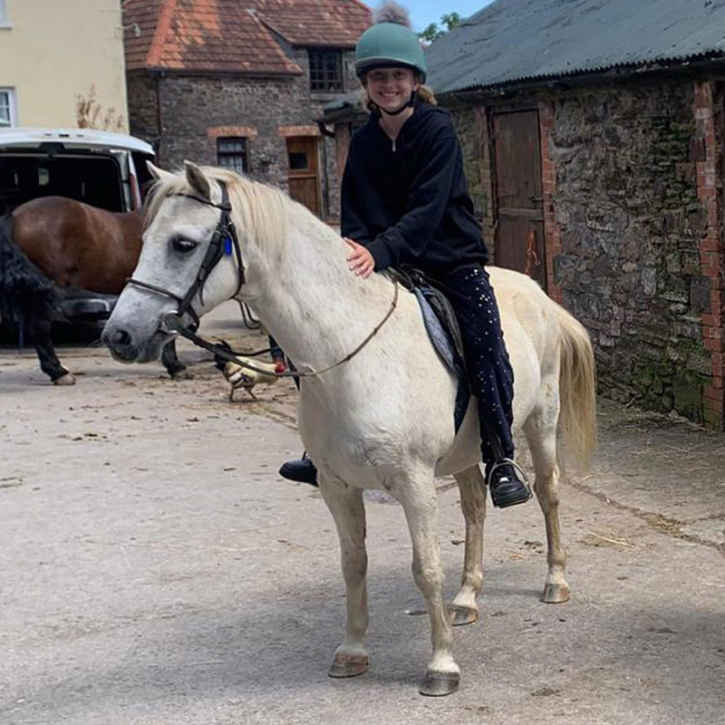 Chester the pony at Pine Lodge