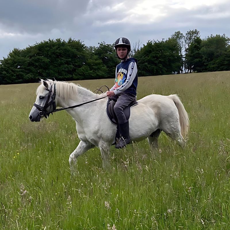 Chester the pony Chester the pony