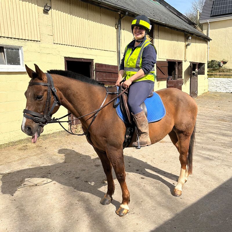 Ethan the Quarter Horse on Exmoor