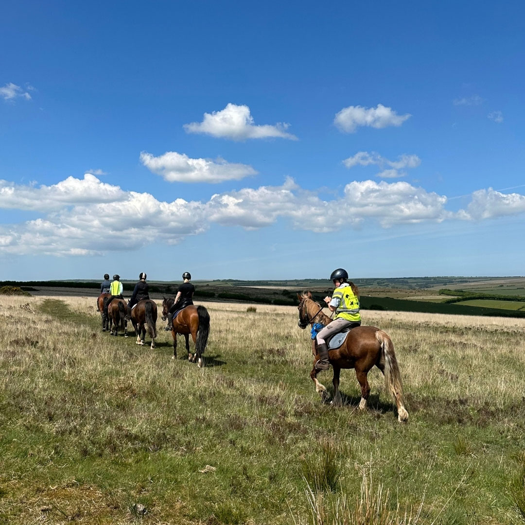 Adults Horse Riding Holidays at Pine Lodge