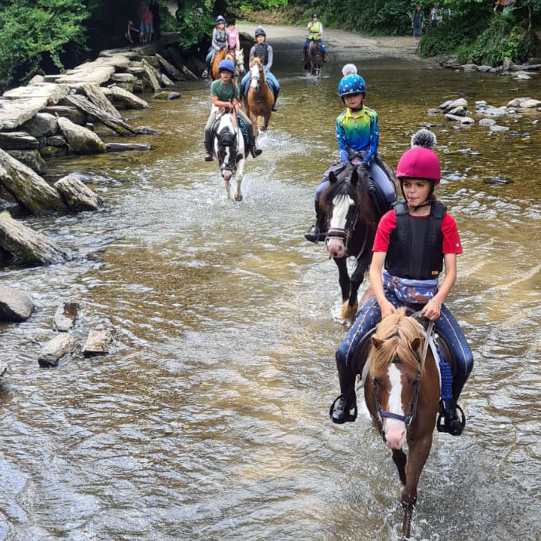 Childrens riding holidays at Pine Lodge Childrens riding holidays at Pine Lodge