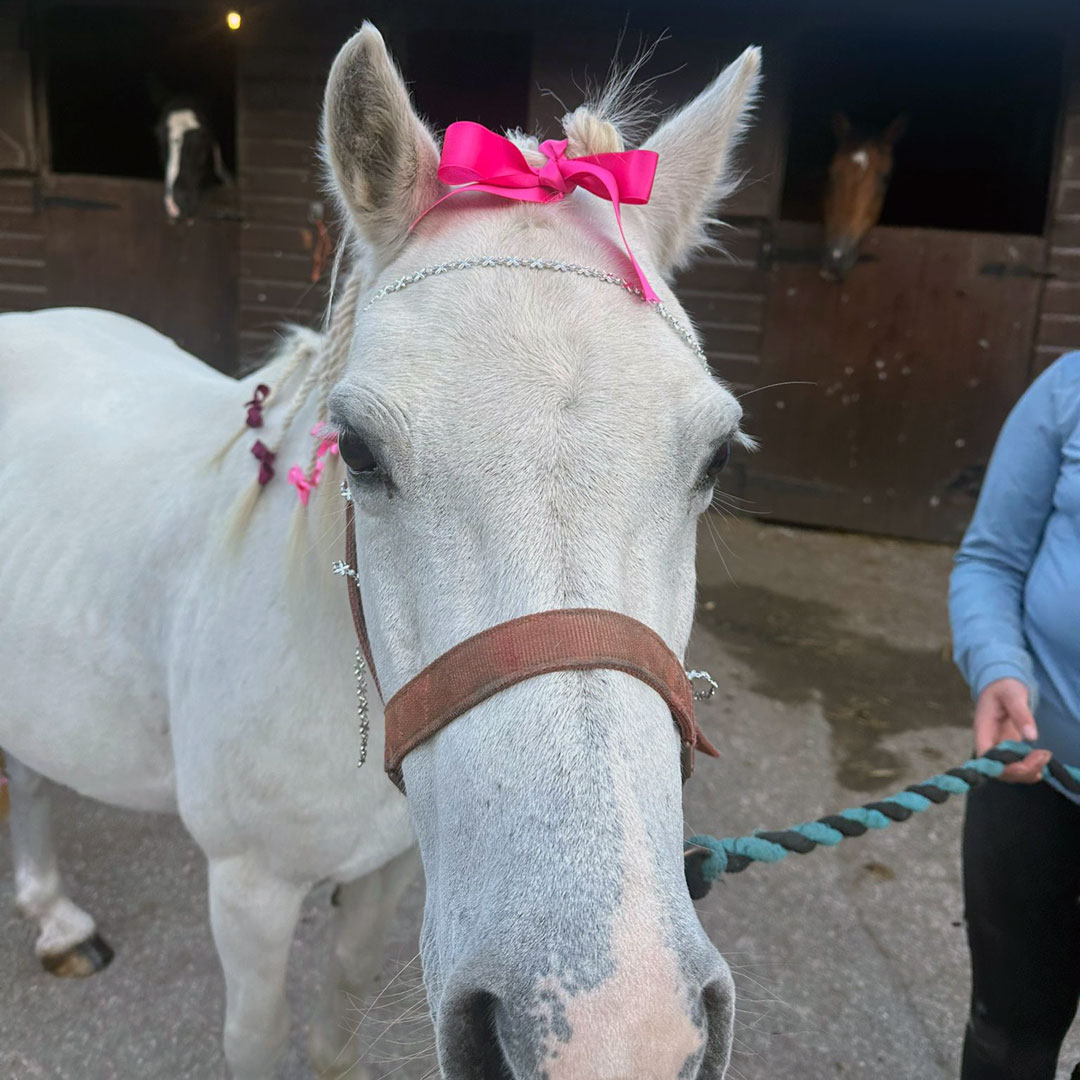 Fantasy in the tack and turnout at the kids riding holidays at Pine Lodge
