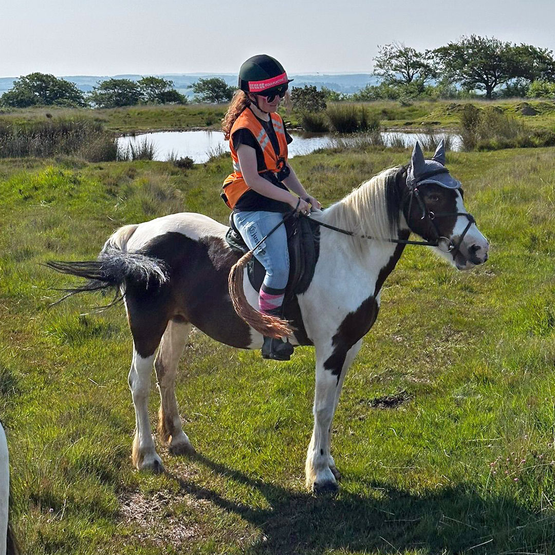 Minnie the pony Minnie the pony