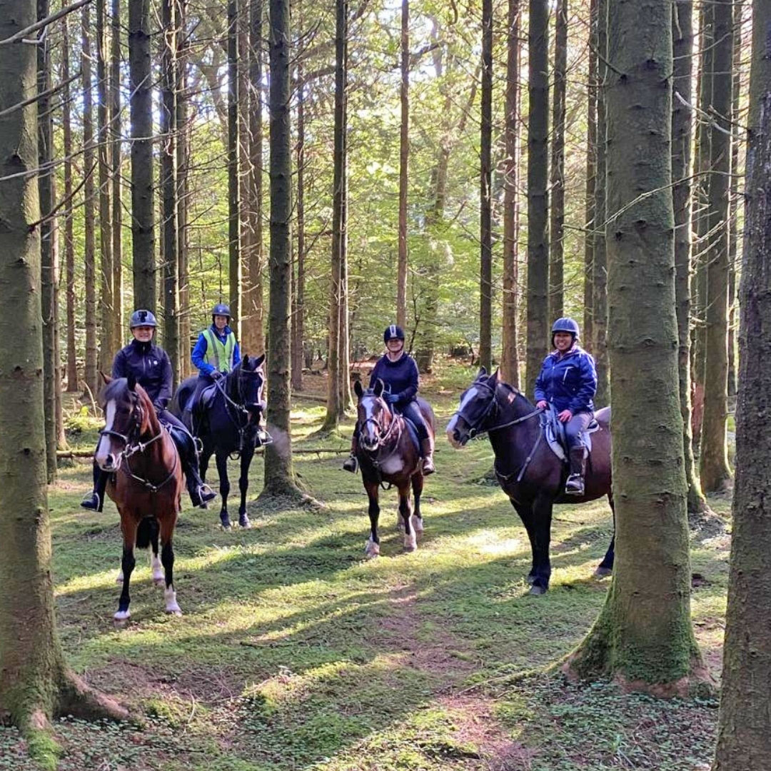 Adults Horse Riding Holidays at Pine Lodge
