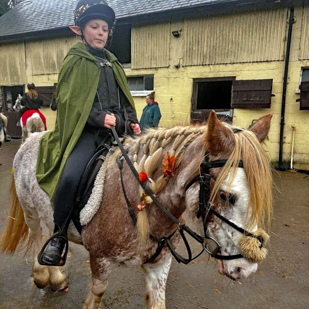 Pine Lodge pony days